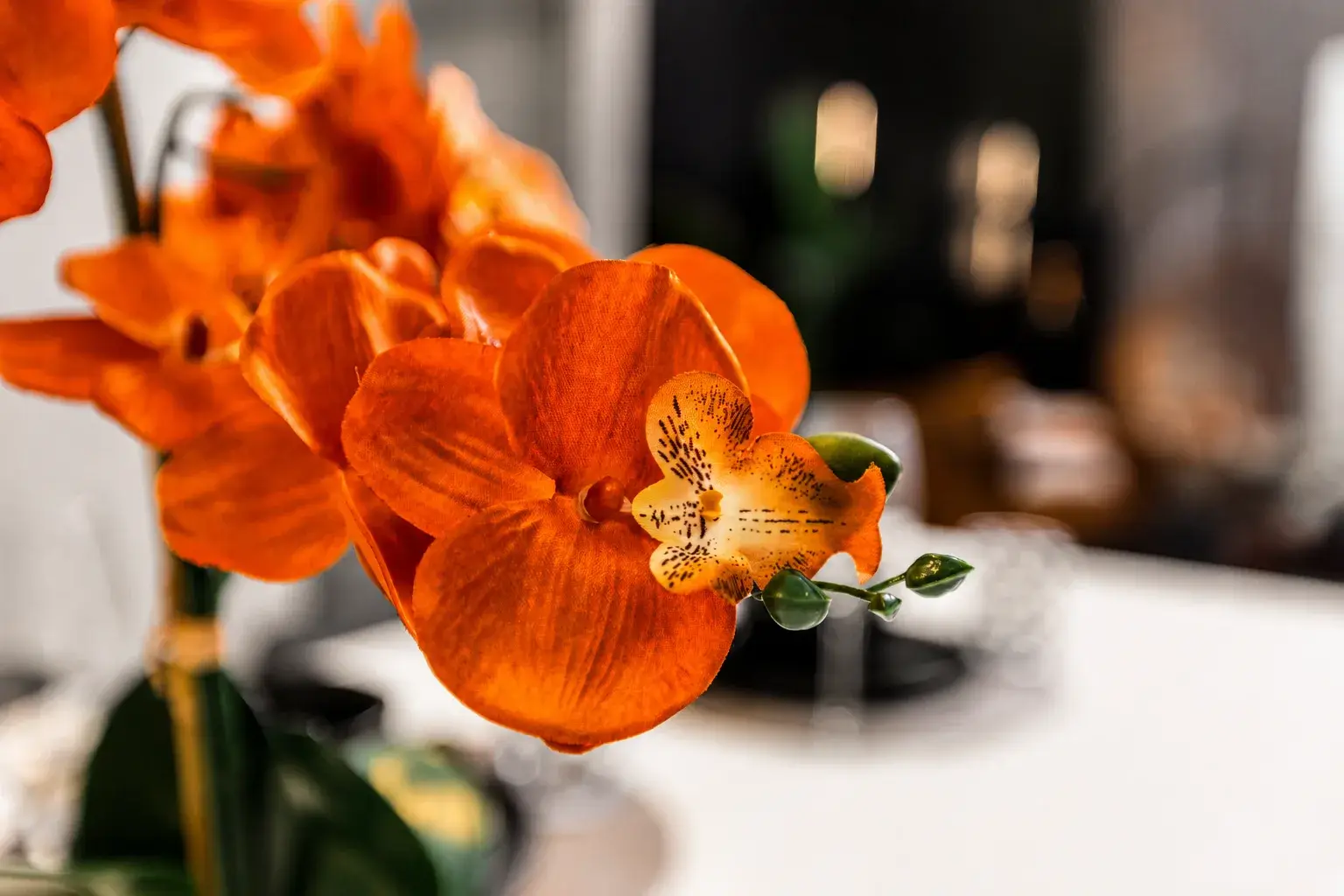 Vibrant orange orchids bring warmth and elegance to the space